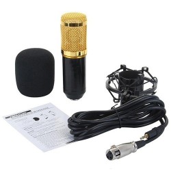 BM-800 Professional Studio Condenser Sound Recording Microphone