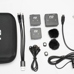 Feidu FM102 Wireless Microphone Dual Channel