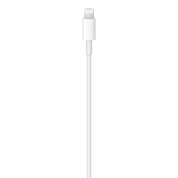 USB-C to Lightning Cable (1 m)