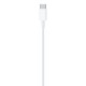 USB-C to Lightning Cable (2 m)