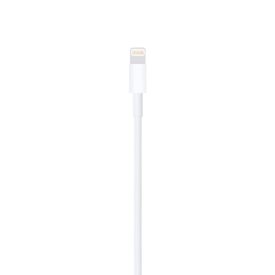 Lightning to USB Cable (2 m)