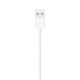 Lightning to USB Cable (2 m)